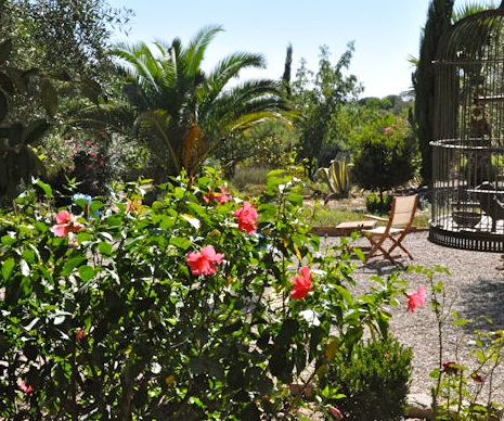 De tuin De tuin